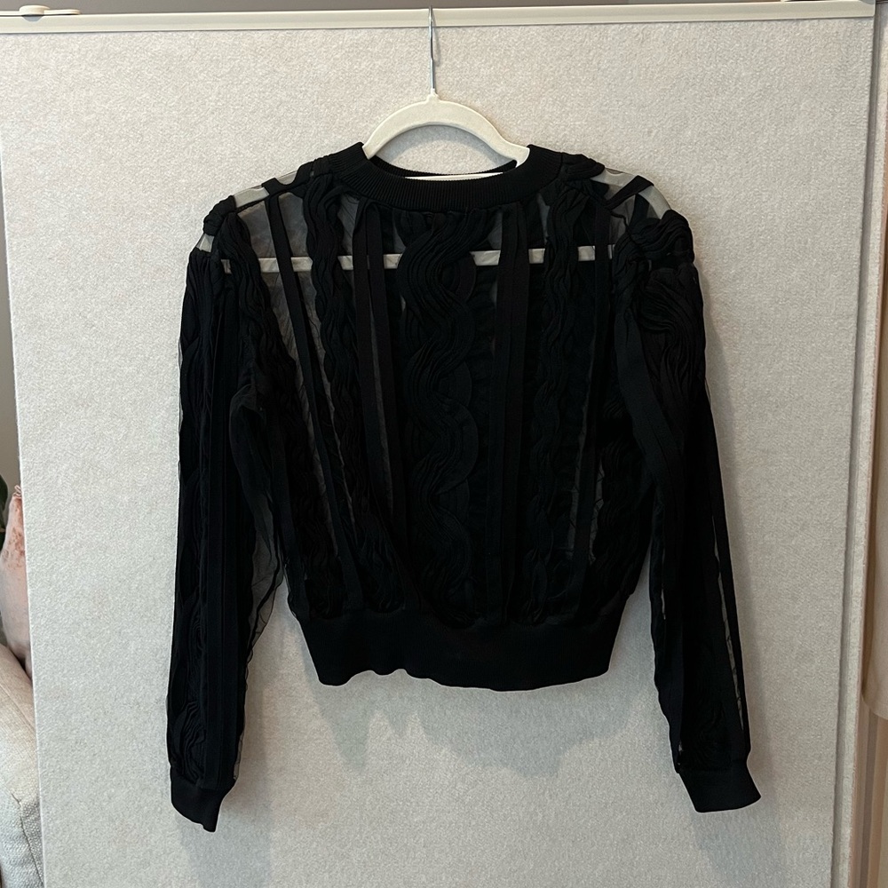 Elegant Black Sheer Women's Top